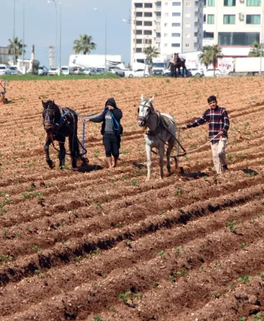 Çiftçi, Patates Tarlasında Geleneksel Yöntemle Çalıştı