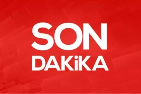 Şarkıcı Edis yurt dışı dönüşü gözaltına alındı