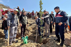 WhatsApp Image 2026-03-26 at 21.09.49