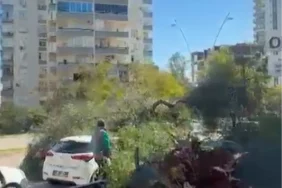 Adana'da Şiddetli Rüzgar Ağaçları Devirip Çatılar Uçurdu