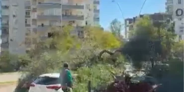 Adana'da Şiddetli Rüzgar Ağaçları Devirip Çatılar Uçurdu