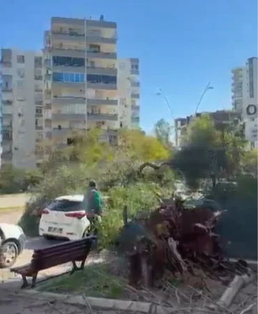 Adana'da Şiddetli Rüzgar Ağaçları Devirip Çatılar Uçurdu