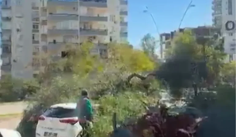 Adana'da Şiddetli Rüzgar Ağaçları Devirip Çatılar Uçurdu