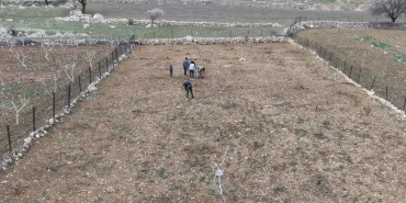 Batman'da Mezrone Üzümü Budama Çalışmaları