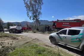 Osmaniye'de Orman Yangını Kontrol Altına Alındı