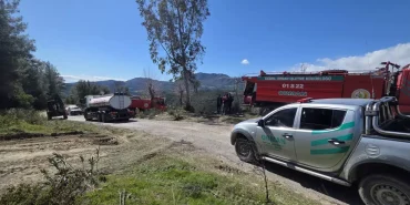 Osmaniye'de Orman Yangını Kontrol Altına Alındı