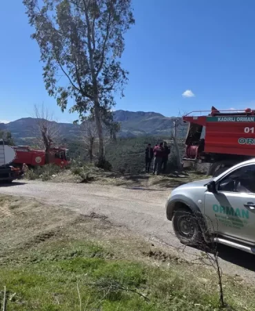 Osmaniye'de Orman Yangını Kontrol Altına Alındı