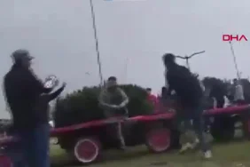 Sahibinin, koşmadığı için dövdüğü at bayıldı