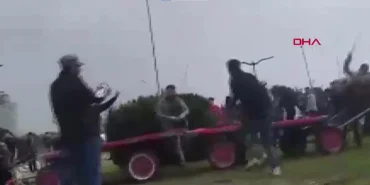 Sahibinin, koşmadığı için dövdüğü at bayıldı