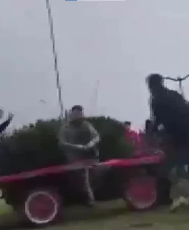 Sahibinin, koşmadığı için dövdüğü at bayıldı