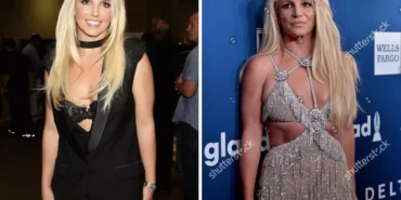 Ünlü şarkıcı Britney Spears, alkollü araç kullanmak suçlamasıyla gözaltına alındı