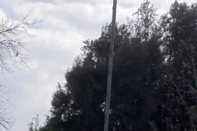 Leylek Yuvası İçin Çağrı