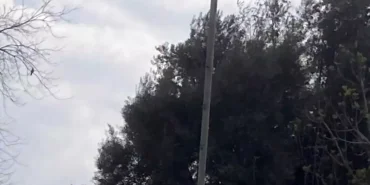 Leylek Yuvası İçin Çağrı