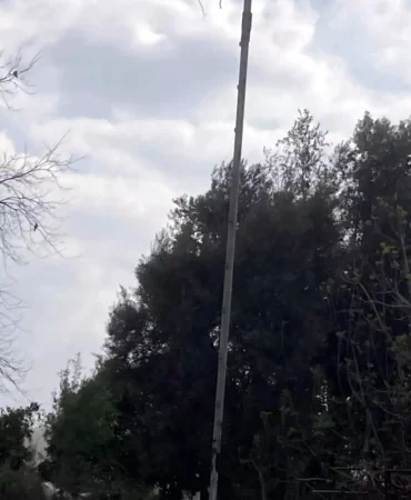 Leylek Yuvası İçin Çağrı