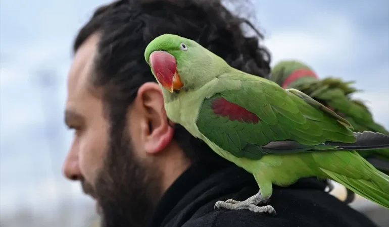 İskender Papağanlarıyla Yaşayan Muhammed İpekçi