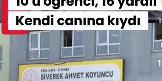 WhatsApp Image 2026-04-15 at 09.09.21 (1)