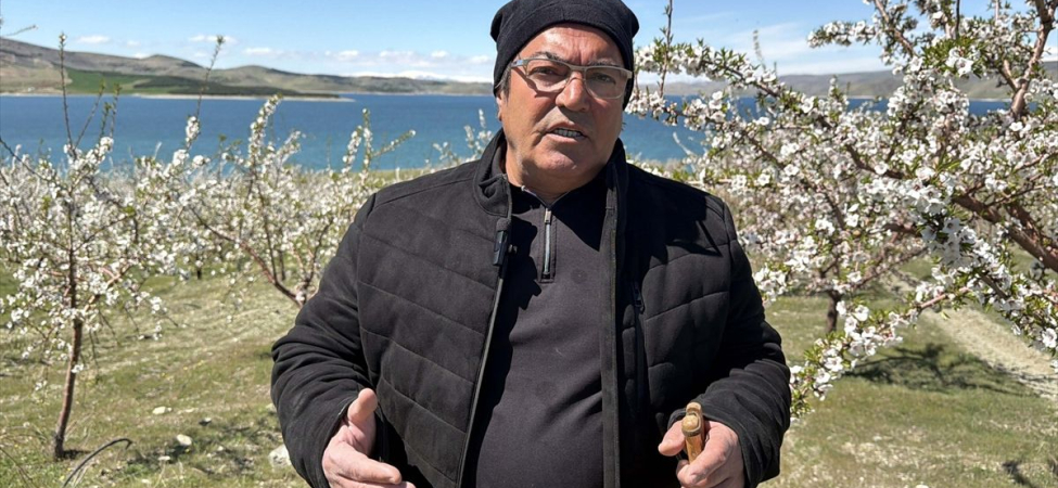 Elazığ'da Badem Bahçesi Umut Veriyor