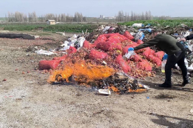 Kaçakçılık Operasyonunda Ele Geçirilenler İmha Edildi