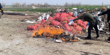 Kaçakçılık Operasyonunda Ele Geçirilenler İmha Edildi