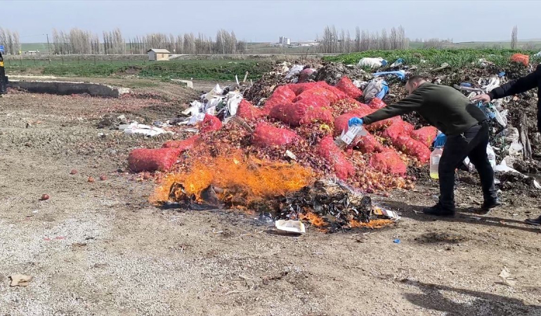 Kaçakçılık Operasyonunda Ele Geçirilenler İmha Edildi