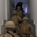 İzmir'de, okul saldırılarına ilişkin paylaşımlarla ilgili 30 gözaltı