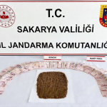 Karasu'da Uyuşturucu Operasyonu: 1 Tutuklama