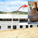 Ünlü sanatçı, arabalarını ve evlerini satıp 78 haneli köyüne yatırdı