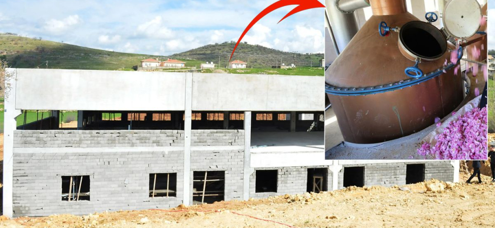 Ünlü sanatçı, arabalarını ve evlerini satıp 78 haneli köyüne yatırdı